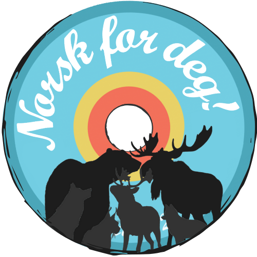 Norsk for deg